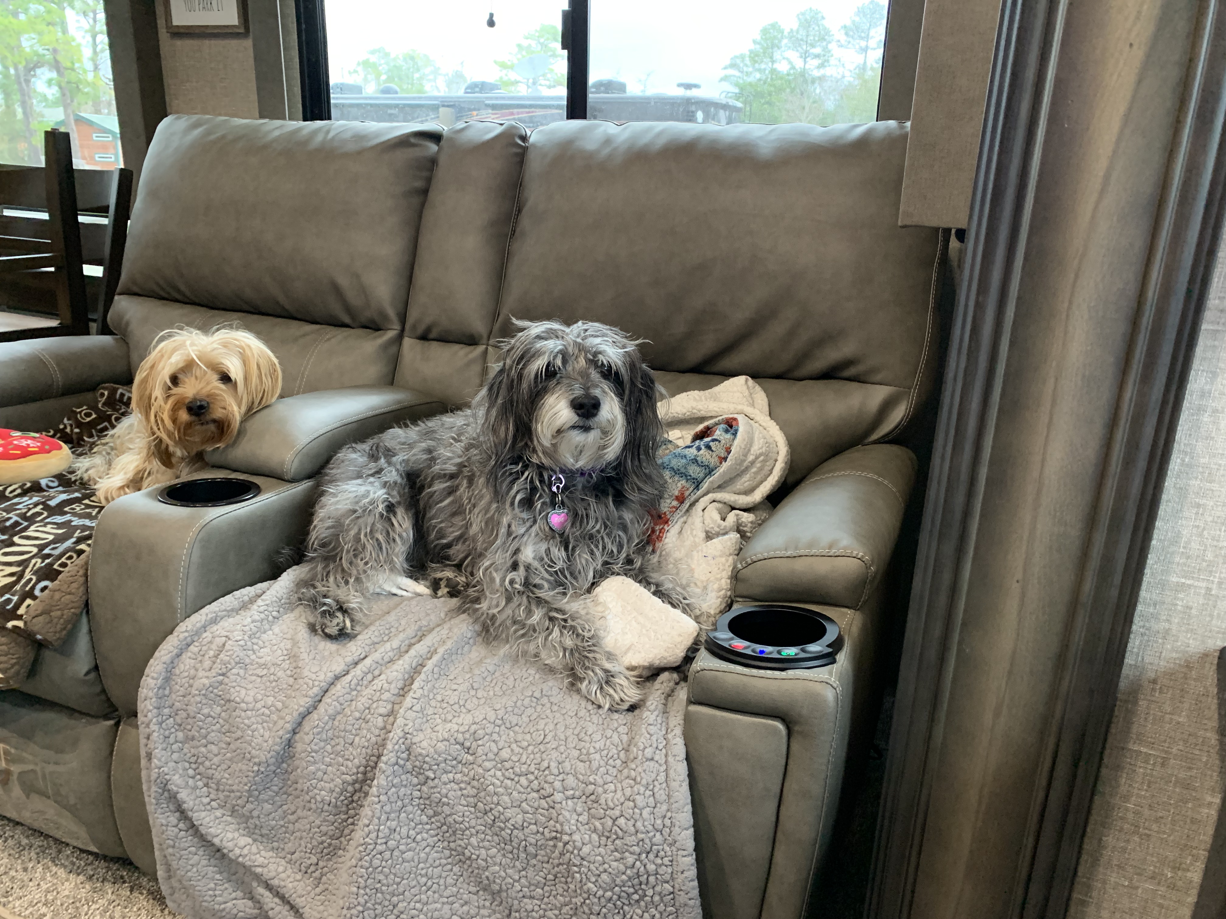 ./2022/01 - Wilmington/IMG_8629.JPG